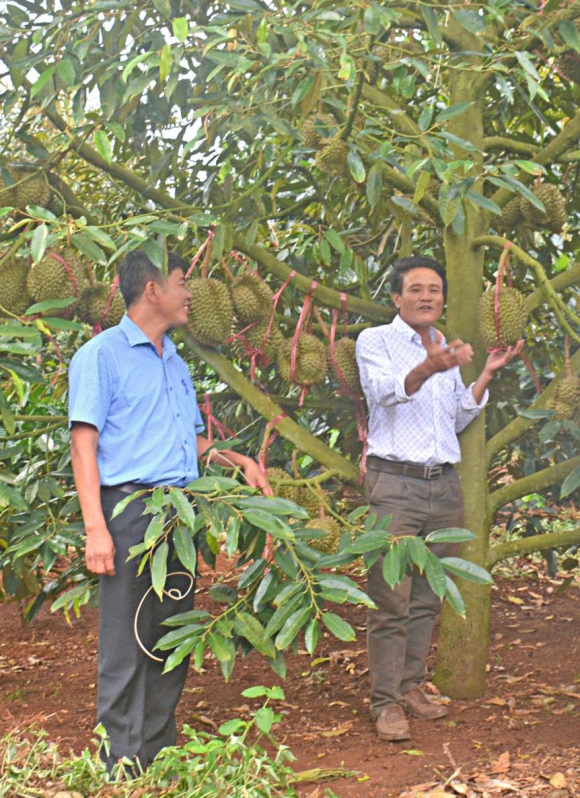 Xuất khẩu nông sản sang thị trường Trung Quốc: Cần thích ứng với những quy định mới